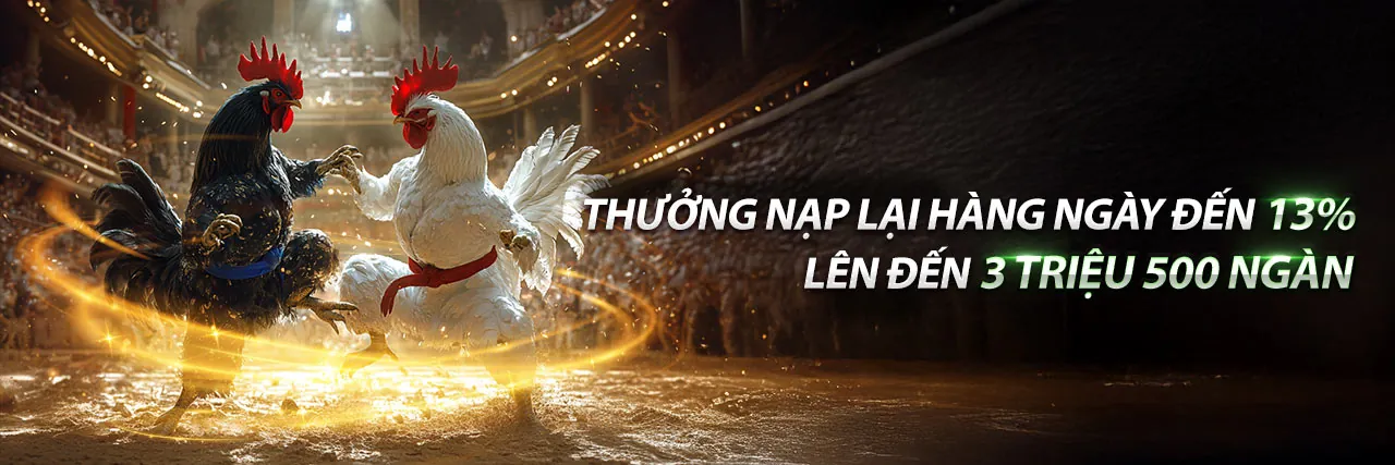 Hình ảnh giới thiệu ho88 - Nền tảng cá cược trực tuyến hàng đầu
