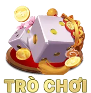 Biểu tượng giấy phép và an toàn ho88